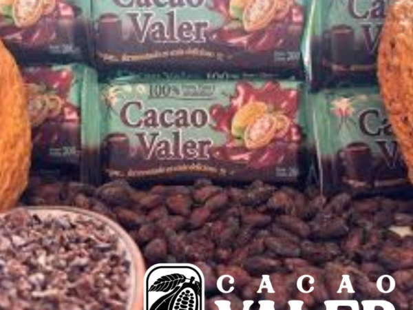 Chocolate Fino Dark – 90% Cacao